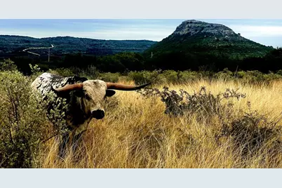 [Address not provided], Barksdale, TX 78801 - Photo 12