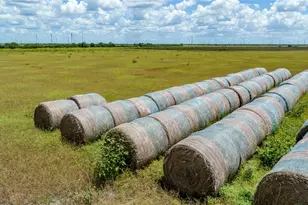 000 County Road 647, Mathis, TX 78368 - Photo 4