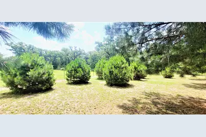 3321 County Road 457, Thorndale, TX 76577 - Photo 2