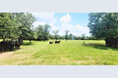 3321 County Road 457, Thorndale, TX 76577 - Photo 8