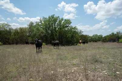 287 County Road 2722, Lometa, TX 76853 - Photo 8