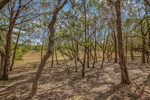 175 Fischer Trail, Wimberley, TX 78676 - Photo 28
