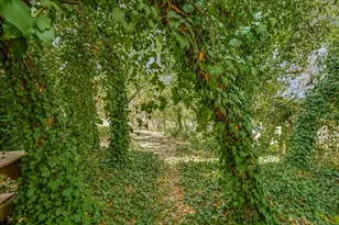 175 Fischer Trail, Wimberley, TX 78676 - Photo 18