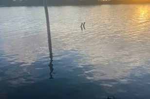 1836 County Road 206 Dr, Bay City, TX 77414 - Photo 1