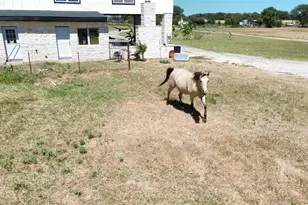 1228 FM 969, Bastrop, TX 78602 - Photo 4