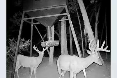 281 Kloster Lane, Blanco, TX 78606 - Photo 38