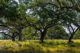 Lot 101 Tuscany Dr, Driftwood, TX 78619 - Photo 8