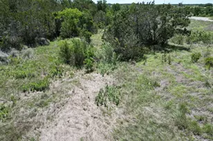 Lot 41 Serenity Dr, Bertram, TX 78605 - Photo 6