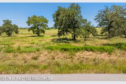 250 Ferguson Loop, Dale, TX 78616 - Photo 6