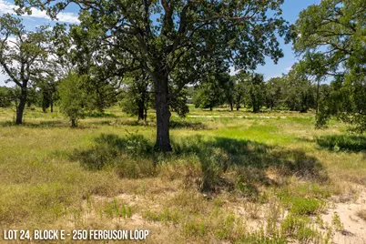 250 Ferguson Loop, Dale, TX 78616 - Photo 10