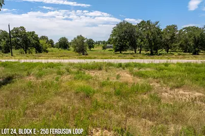 250 Ferguson Loop, Dale, TX 78616 - Photo 8