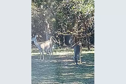 15107 Chaparral Drive, Leander, TX 78641 - Photo 24