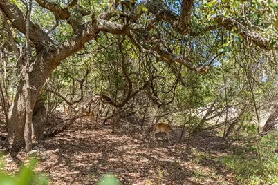 8 Stone Creek Circle, Wimberley, TX 78676 - Photo 32