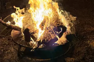 2505 Grandridge Trail, Cedar Park, TX 78613 - Photo 18