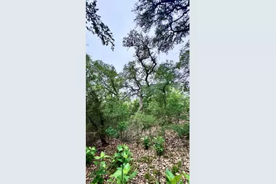 673 Yorks Crossing, Driftwood, TX 78619 - Photo 18
