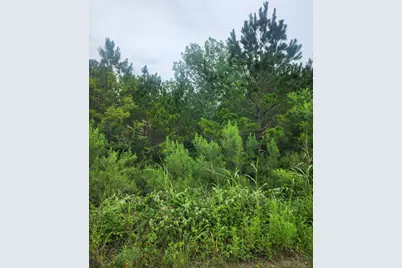 Lot 70 Lakeside Drive, Bastrop, TX 78602 - Photo 2