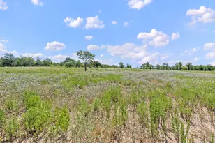 1385 Pettytown Rd, Dale, TX 78616 - Photo 12