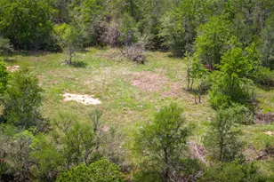 4082 Old Colony Line Rd, Lockhart, TX 78643 - Photo 34