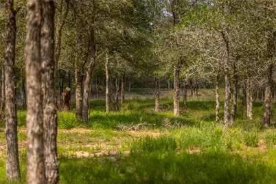 4082 Old Colony Line Road, Lockhart, TX 78643 - Photo 18