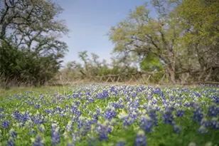 Tbd Bell Springs Rd, Dripping Springs, TX 78620 - Photo 10