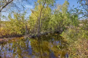 10719 San Jose Ave, Del Valle, TX 78617 - Photo 6