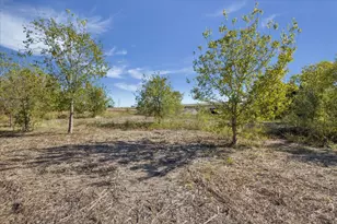 10719 San Jose Ave, Del Valle, TX 78617 - Photo 2