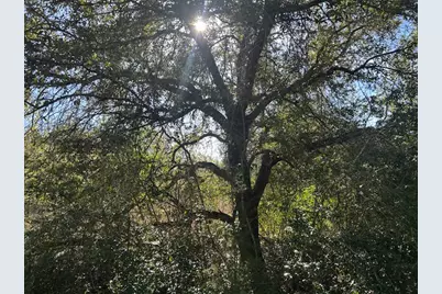 Tbd Fm 141, Dime Box, TX 77853 - Photo 4