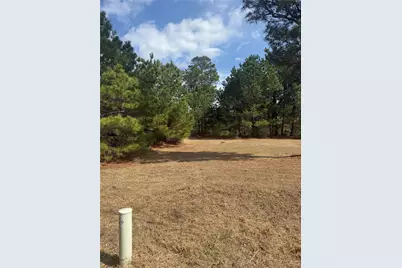 123 Koali Drive, Bastrop, TX 78602 - Photo 2