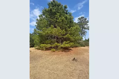 123 Koali Drive, Bastrop, TX 78602 - Photo 4