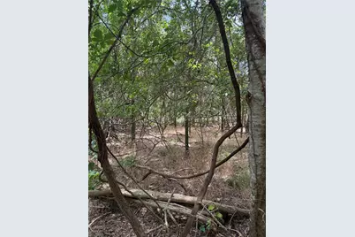 Lot 908 Kahana Lane, Bastrop, TX 78602 - Photo 8