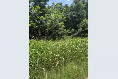 Lot 908 Kahana Lane, Bastrop, TX 78602 - Photo 2