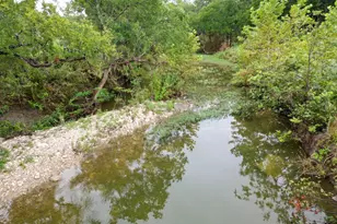 Lot 8 Serenity Dr, Liberty Hill, TX 78642 - Photo 24