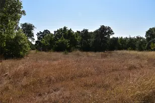 3317 Whitt Pk Path, Leander, TX 78641 - Photo 2