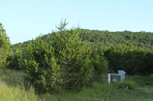 218 Spring Hollow Dr Dr, Bertram, TX 78605 - Photo 32