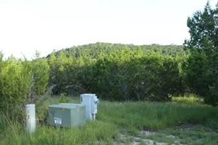 218 Spring Hollow Dr Dr, Bertram, TX 78605 - Photo 4