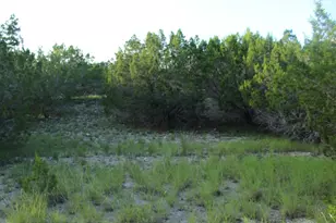 218 Spring Hollow Dr Dr, Bertram, TX 78605 - Photo 28