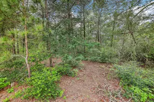 267 Corral Rd, Smithville, TX 78957 - Photo 34