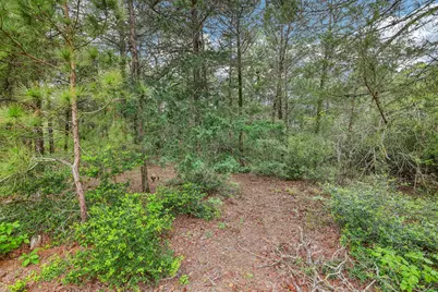267 Corral Road, Smithville, TX 78957 - Photo 34