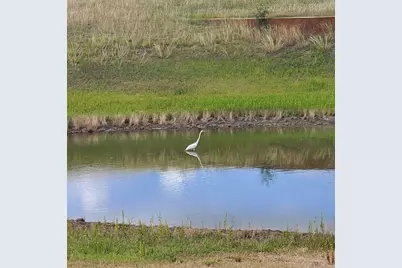 1115 County Road 414, Spicewood, TX 78669 - Photo 2