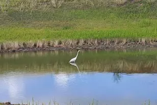 1115 Co Rd 414, Spicewood, TX 78669 - Photo 2