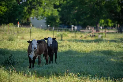 0 Straws Mill Road, Gatesville, TX 76528 - Photo 16