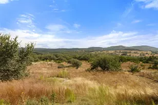 3108 Rolling Hills Rd, Blanco, TX 78606 - Photo 36