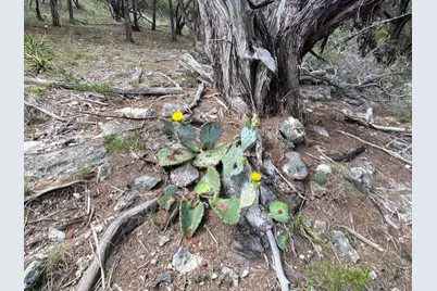 20902 Stone Cliff Drive, Lago Vista, TX 78645 - Photo 8