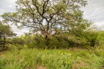 862 Dowdy Road, Seguin, TX 78155 - Photo 14