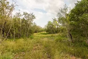 862 Dowdy Rd, Seguin, TX 78155 - Photo 8