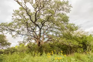 862 Dowdy Rd, Seguin, TX 78155 - Photo 1