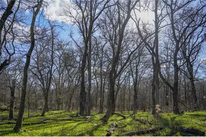 2565 County Rd 442, Thorndale, TX 76577 - Photo 10