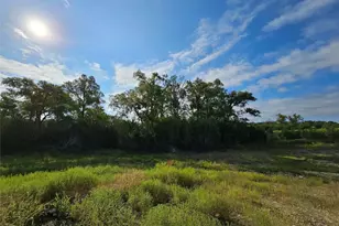 Lot 25 Riparian Elm Rd, Bertram, TX 78605 - Photo 12