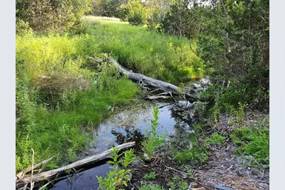Lot 25 Riparian Elm Road, Bertram, TX 78605 - Photo 6