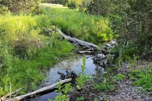 Lot 25 Riparian Elm Rd, Bertram, TX 78605 - Photo 6